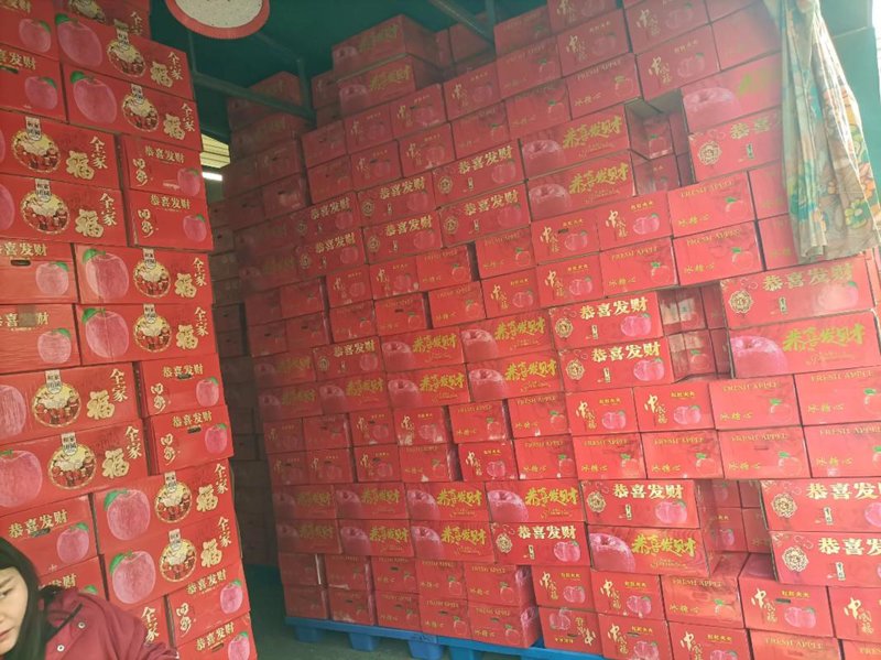 解读当前国际贸易形势：从武汉威特科贸的视角看行业发展